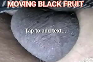 MOVING BLACK FRUIT