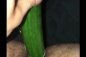 Big dick anal with cucumber